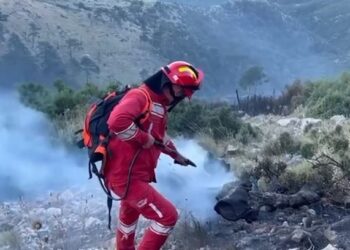 Varra e zjarrit në Llogara, Peleshi i ashpër: Piromanët do përballen me ligjin