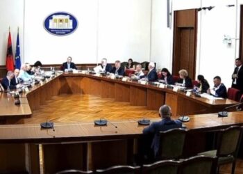 TIMS/ “Nëse ti je analfabet nuk e kemi fajin ne”, Salianji përplaset me Veliun