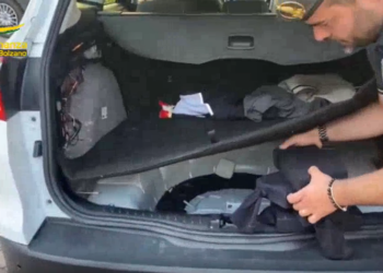 Sekuestrohet drogë me vlerë 1.5 mln euro në Itali, pranga shqiptarit!