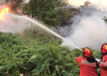 Temperatura deri në 43 gradë celsius, 9 vatra zjarri në 24 orë