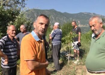 HEC po ju than të mbjellat, banorët e Klosit në protestë: S’ka ujë për të vaditur