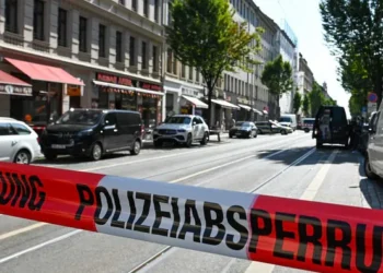 Dhunoi për vdekje bashkatdhetarin, arrestohet 52-vjeçari shqiptar