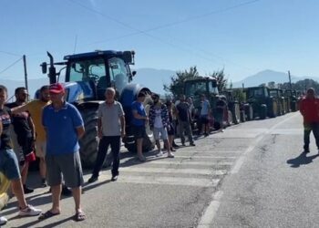 Protesta në Maliq/Policia e Korçës anulon gjobat, fermerët do u rikthehen protestave