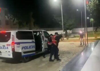 Goditet grupi kriminal në Shkodër, 12 të arrestuar, sekuestrohet 246 kg kanabis