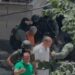Terrorizoi lagjen 15 në Korçë duke qëlluar me armë, RENEA arreston 71-vjeçarin
