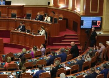 Kuvendi/Braçe: KLSH s’është Gjykatë dhe Prokurori, por auditues i jashtëm