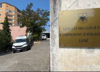 Plagosi 27-vjeçarin në Tale se i ngacmoi partneren, burg pa afat për autorin