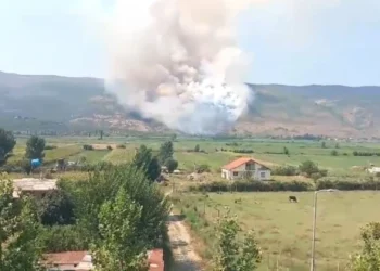 Zjarr në malin e Rrencit, forcat zjarrfikëse ‘në luftë’ me flakët