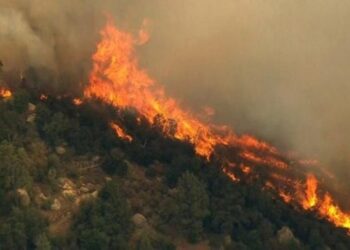 Situata e zjarreve në vend/ 21 vatra të regjistruara në 24 orët e fundit
