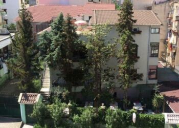 Vrasja në azilin në Tiranë/ Gjykata vendos shtrim në spital psikiatrik për Shehin