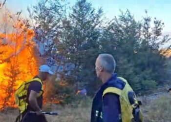 Zjarr në Maqellarë, nis ndërhyrja nga toka në Parkun Natyror Korab-Koritnik