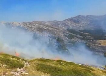 Zjarret në Gjirokastër, shuhen flakët në malin mbi fshatin Labovë