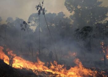 Ndërhyrja e helikopterit përmirëson situatën e zjarreve, shuhen flakët në Tomorr