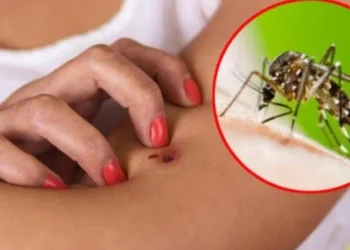 Konfirmohen dy raste me ethet e Nilit në Elbasan