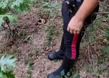 E rëndë në Itali, 43-vjeçari shqiptar po kërkonte tartuf, por gjen një kafkë njeriu!