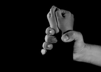 E rëndë në Maliq, i moshuari tenton të përdhunojë 8-vjeçaren te këndi i lojërave