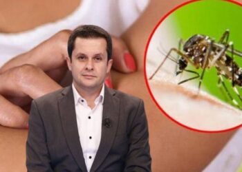 Mjeku Alimehmeti ngre alarmin për ‘ethet e Nilit’: Kemi mijëra të infektuar