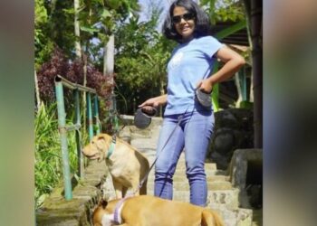 Ngjarja horror në Laprakë merr vëmendjen e mediave të huaja