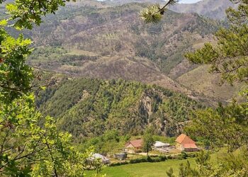 Vrasja në Mirditë, 68-vjeçari kishte konflikte të hershme në fshat, dyshimet