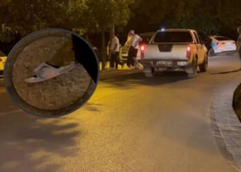 43-vjeçari po shkonte në dasmë, i prenë rrugën! Si ndodhi plagosja dje në Shkodër?