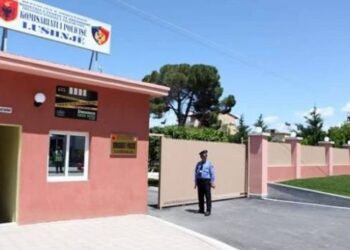 Sekuestrohet arsenal armësh në Lushnjë, një në pranga, dy të proceduar