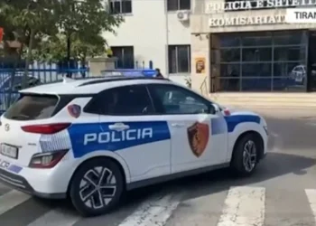 Shantazhonin vajzën dhe e detyronin të vidhte para në shtëpi,arrestohen 2 vëllezërit