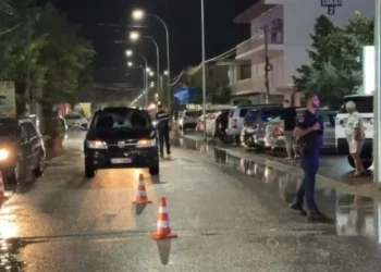 Vrasja e dy kunetërve në Velipojë, Policia arreston një person