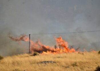 U rrezikuan 4 fshatra, vihen në kontroll vatrat e zjarrit në Gjirokastër