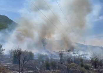 Kukës, zjarri në malin e Gjalicës, zjarrfikësit neutralizojnë flakët