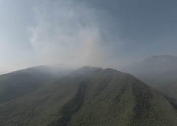 Zjarret pushtojnë pyjet në Bulqizë, digjen qindra hektarë në kurorën e Liqenit të Zi