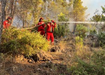 Vendi në “flakë”/ Ndizen 29 vatra në 24 orët e fundit, ja sa janë ende aktive