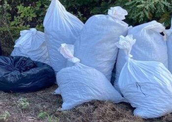 Kapet sasi rekord droge në Pejë, në pranga një shqiptar, në kërkim 6 të tjerë