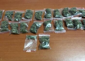 Divjakë/Vijon megaoperacioni “Tempulli”