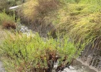 Motor i dalë nga rruga në Shkodër, vdes një efektiv policie, dyshohet për mot të keq