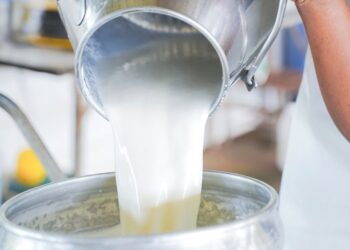 Gjithnjë e më pak bagëti, shqiptarët paguajnë bulmetin e importuar