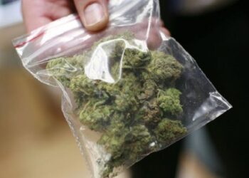 Lushnjë/Arrestohet 1 person për shitje të lëndëve narkotike