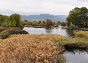 “Parku Natyror Drilon-Tushemisht/ Rama publikon pamjet