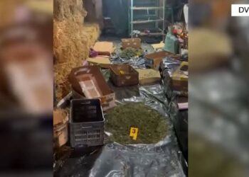 Zbulohet një magazinë me lëndë narkotike në Korçë