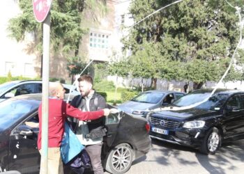 Beleri goditet me vezë dhe kos