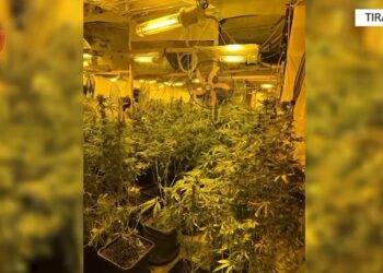 Tiranë/ Shndërrimi i magazinës në shtëpi droge, 7 të arrestuar, 3 nga OSHEE