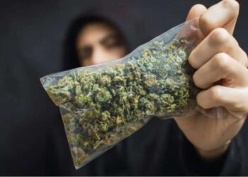 Tiranë/ Arrestohet 31-vjeçari në flagrancë me 2.1 kg kanabis