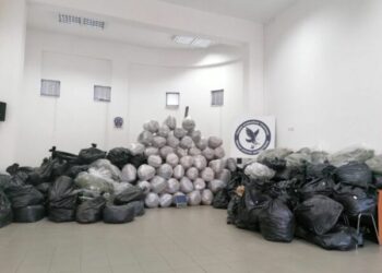 Operacioni antidrogë në Greqi, arrestohet shqiptari