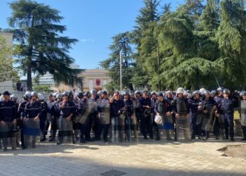 Denoncimi i PD për armën në protestë, reagon Policia