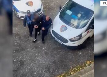 Pukë/ Arrestohet 33-vjeçari në Morinë, në kërkim për kultivim bimësh narkotike