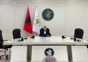 Rregullorja për votën e diasporës dështon sërish