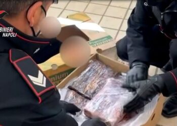 Itali/ 30-vjeçari shqiptar kapet duke trafikuar 4 kg kokainë me ‘Audi’