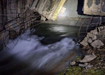 Albin Kurti mbledh me urgjencë Këshillin e Sigurisë