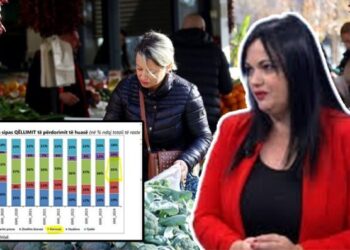 “Hendeku ekonomik”/ Ekspertja: 24% e familjeve marrin borxhe për ushqim