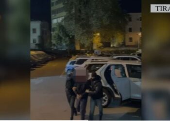 Në kërkim për armëmbajtje pa leje, arrestohet 21-vjeçari