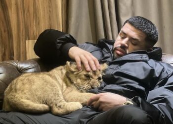 Dhuna ndaj Medi Isenit, Noizy paraqitet në policinë e Pejës